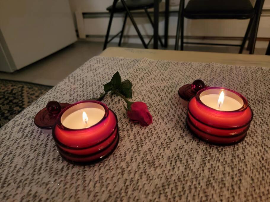 Comfy And Chic Boston Apartment! Free Parking Екстериор снимка